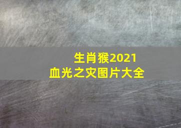 生肖猴2021血光之灾图片大全