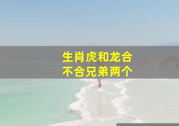 生肖虎和龙合不合兄弟两个