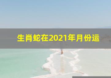 生肖蛇在2021年月份运