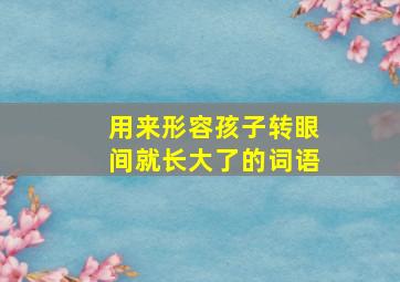 用来形容孩子转眼间就长大了的词语