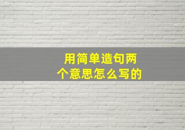 用简单造句两个意思怎么写的