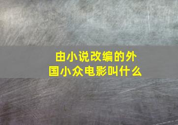 由小说改编的外国小众电影叫什么