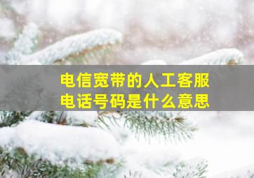 电信宽带的人工客服电话号码是什么意思