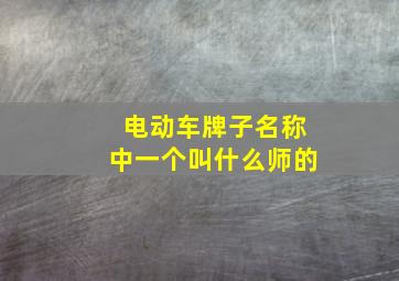 电动车牌子名称中一个叫什么师的