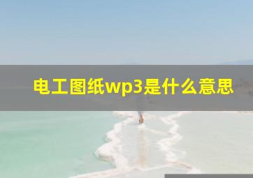 电工图纸wp3是什么意思