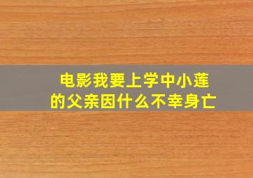 电影我要上学中小莲的父亲因什么不幸身亡