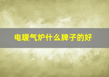 电暖气炉什么牌子的好