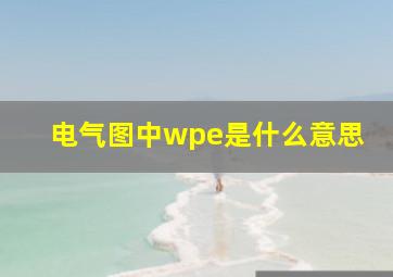 电气图中wpe是什么意思