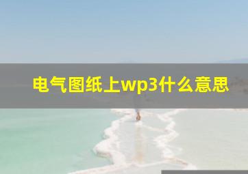 电气图纸上wp3什么意思