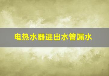 电热水器进出水管漏水