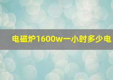 电磁炉1600w一小时多少电