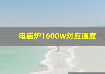 电磁炉1600w对应温度