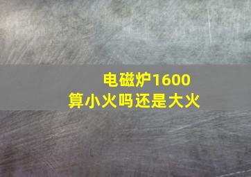 电磁炉1600算小火吗还是大火