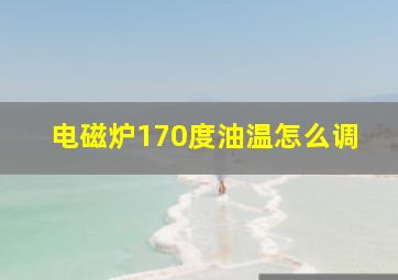 电磁炉170度油温怎么调