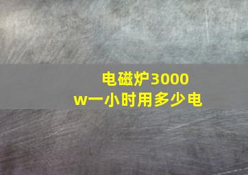 电磁炉3000w一小时用多少电