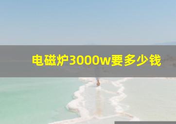 电磁炉3000w要多少钱