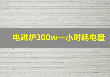 电磁炉300w一小时耗电量