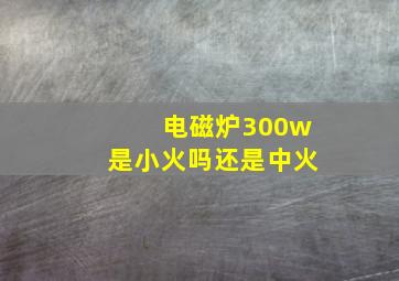 电磁炉300w是小火吗还是中火