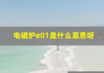 电磁炉e01是什么意思呀