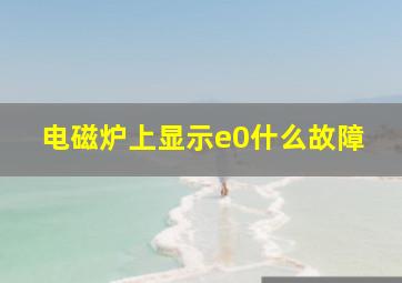 电磁炉上显示e0什么故障