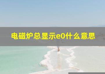 电磁炉总显示e0什么意思