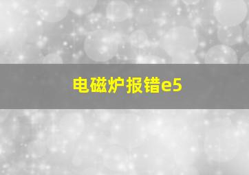 电磁炉报错e5