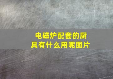 电磁炉配套的厨具有什么用呢图片