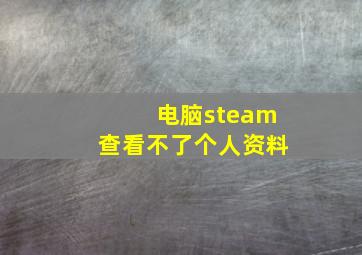 电脑steam查看不了个人资料