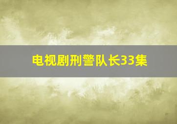 电视剧刑警队长33集