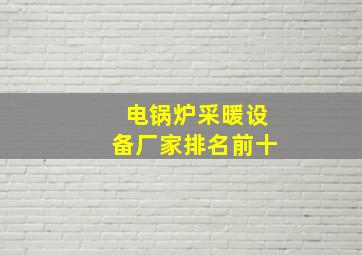 电锅炉采暖设备厂家排名前十