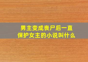 男主变成丧尸后一直保护女主的小说叫什么