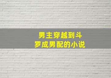 男主穿越到斗罗成男配的小说