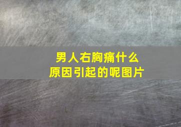 男人右胸痛什么原因引起的呢图片