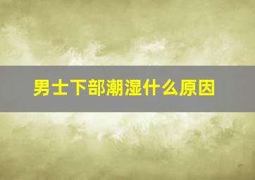 男士下部潮湿什么原因