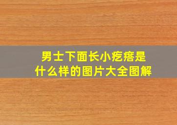 男士下面长小疙瘩是什么样的图片大全图解