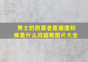 男士的阴囊老是潮湿和痒是什么问题呢图片大全