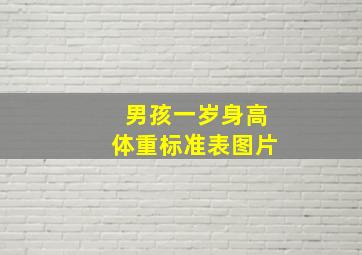 男孩一岁身高体重标准表图片