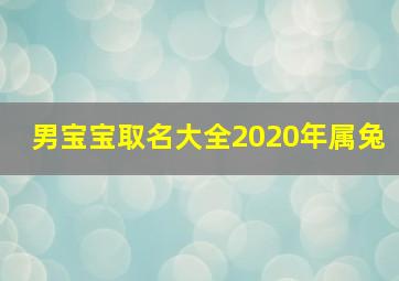 男宝宝取名大全2020年属兔