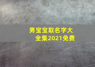 男宝宝取名字大全集2021免费