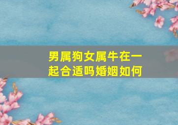 男属狗女属牛在一起合适吗婚姻如何