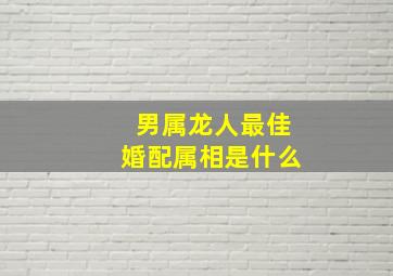 男属龙人最佳婚配属相是什么