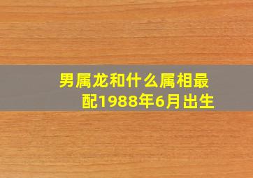 男属龙和什么属相最配1988年6月出生