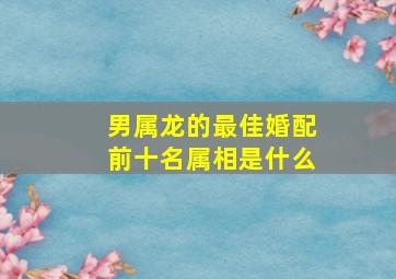 男属龙的最佳婚配前十名属相是什么