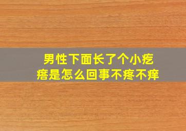 男性下面长了个小疙瘩是怎么回事不疼不痒