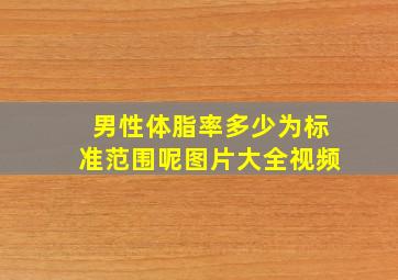 男性体脂率多少为标准范围呢图片大全视频