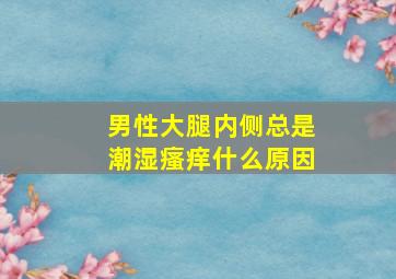 男性大腿内侧总是潮湿瘙痒什么原因