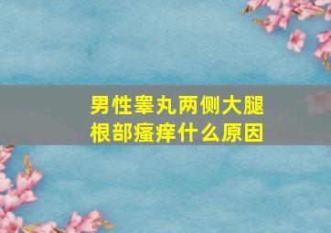 男性睾丸两侧大腿根部瘙痒什么原因