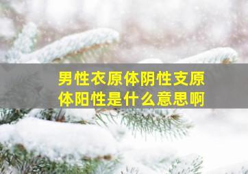 男性衣原体阴性支原体阳性是什么意思啊