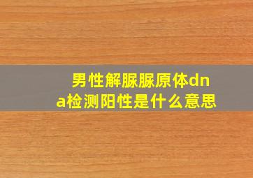 男性解脲脲原体dna检测阳性是什么意思