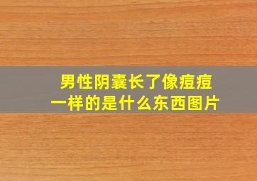 男性阴囊长了像痘痘一样的是什么东西图片